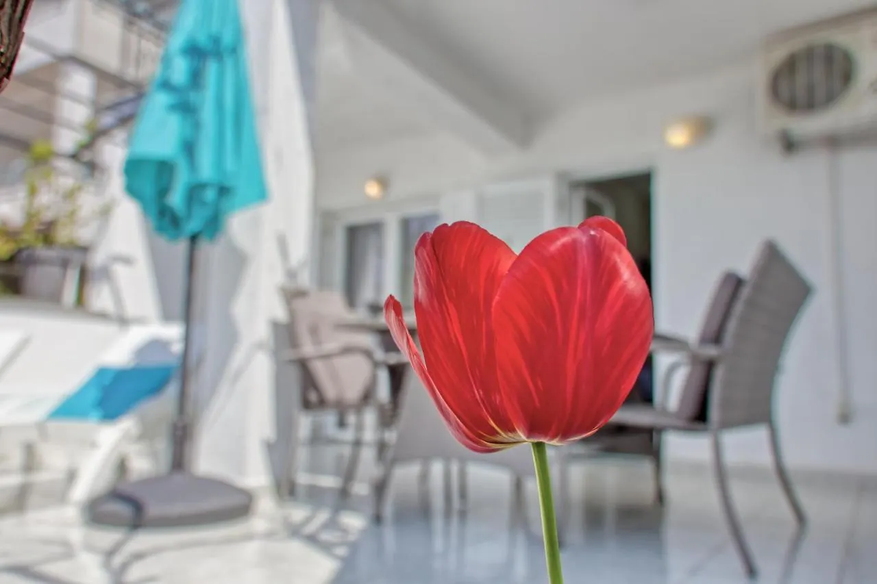 Apartments Birimac Pula